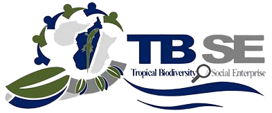  Logo TBSE